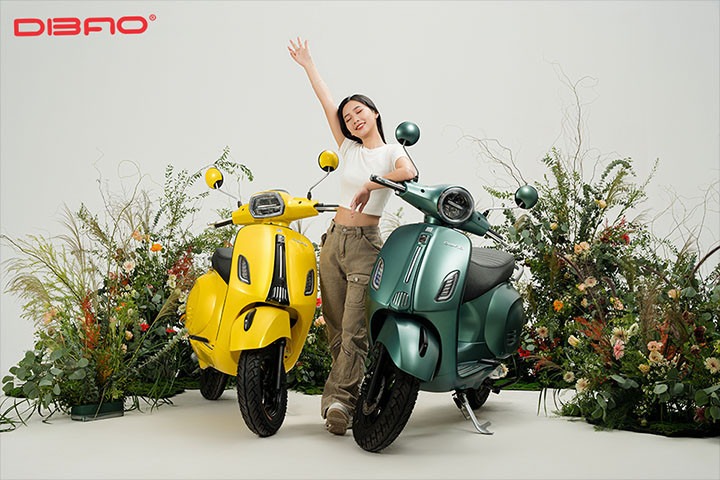 Xe m&aacute;y điện DIBAO Tesla Chic Q