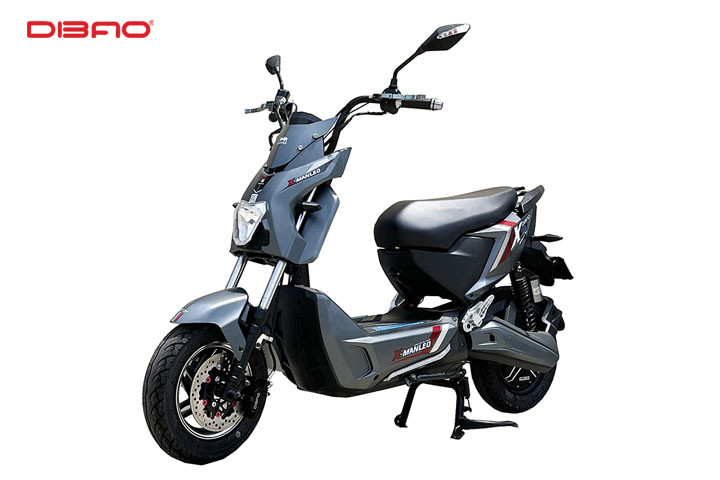 Xe m&aacute;y điện DIBAO Pansy S4