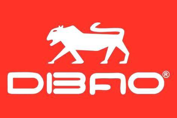 DIBAO ĐỒNG NAI-XE ĐIỆN H&N