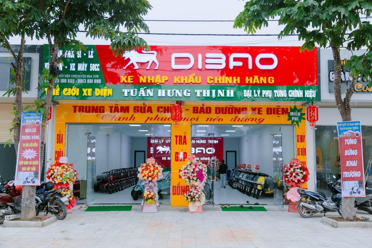 DIBAO NGA SƠN - TUẤN HƯNG THỊNH