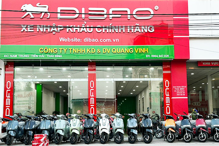 DIBAO TIỀN HẢI-XE ĐIỆN QUANG VINH