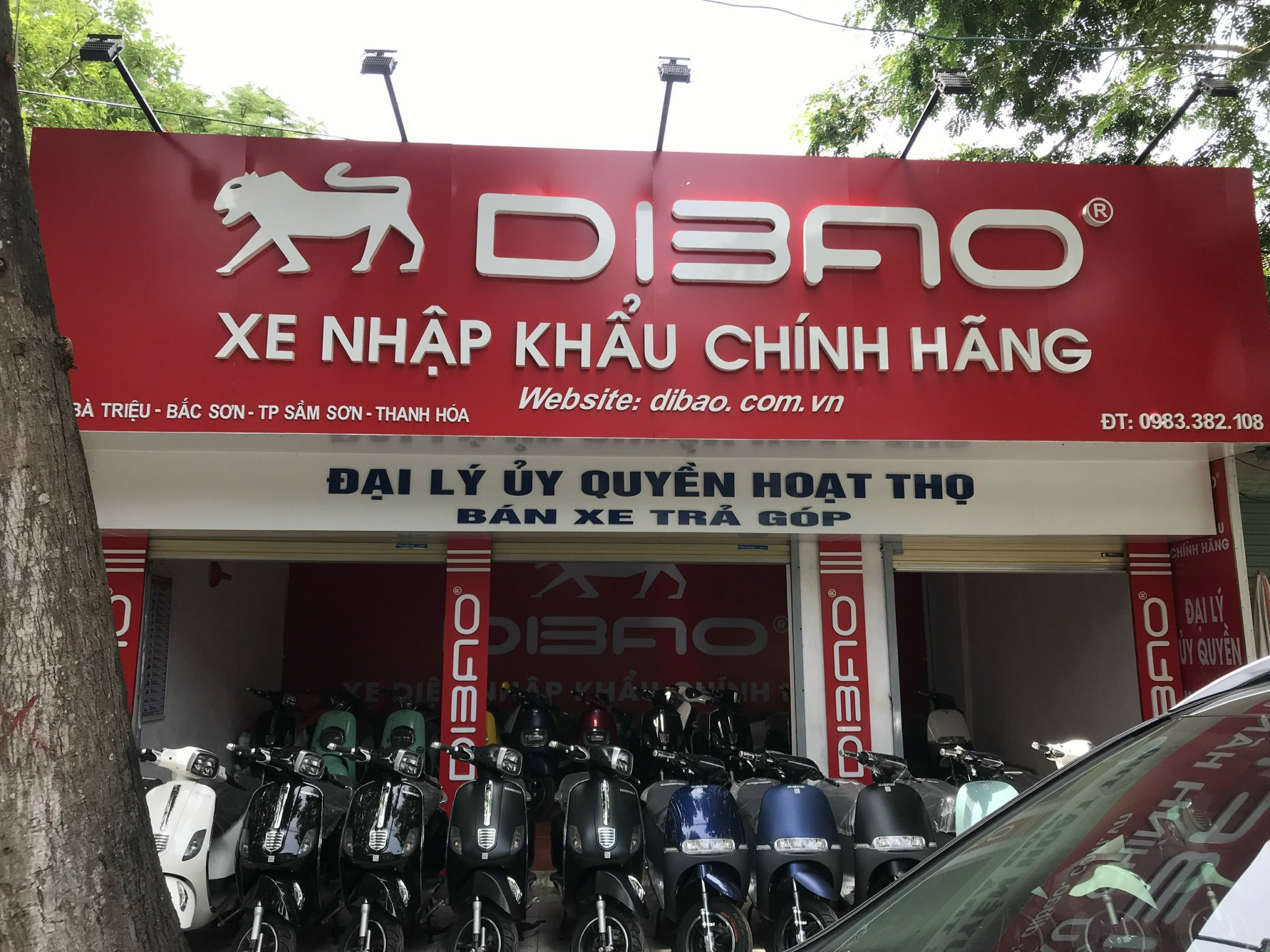 DIBAO SẦM SƠN -Xe điện Hoạt Thọ