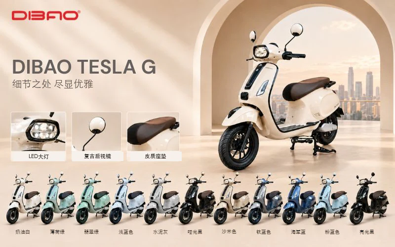XE MÁY ĐIỆN DIBAO Tesla G