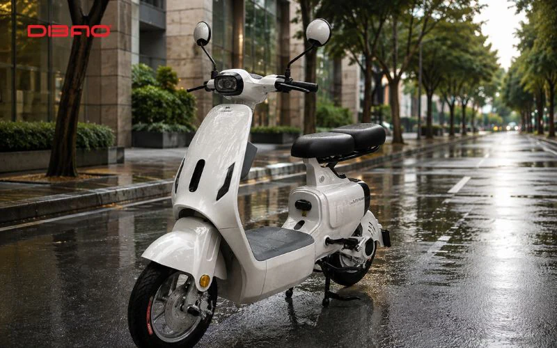 Xe điện Dibao V1 Plus
