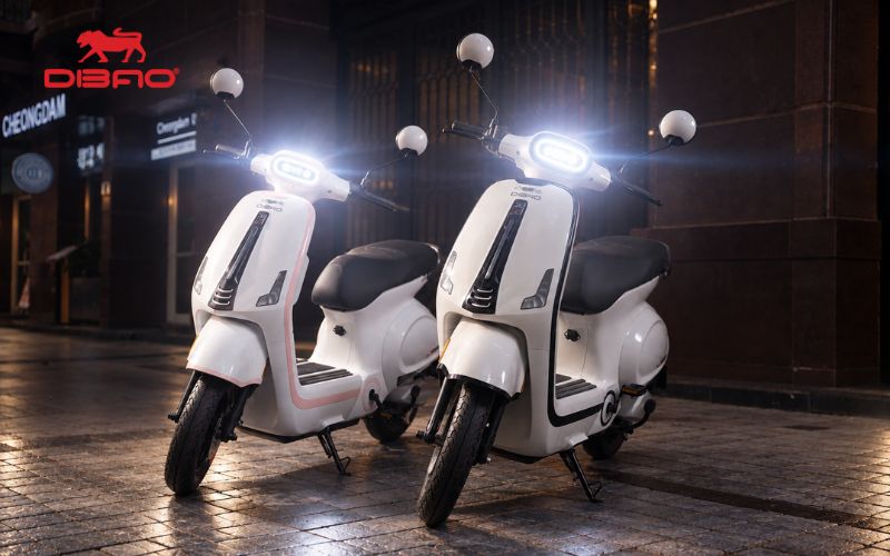 xe m&aacute;y điện dibao vibe m3600