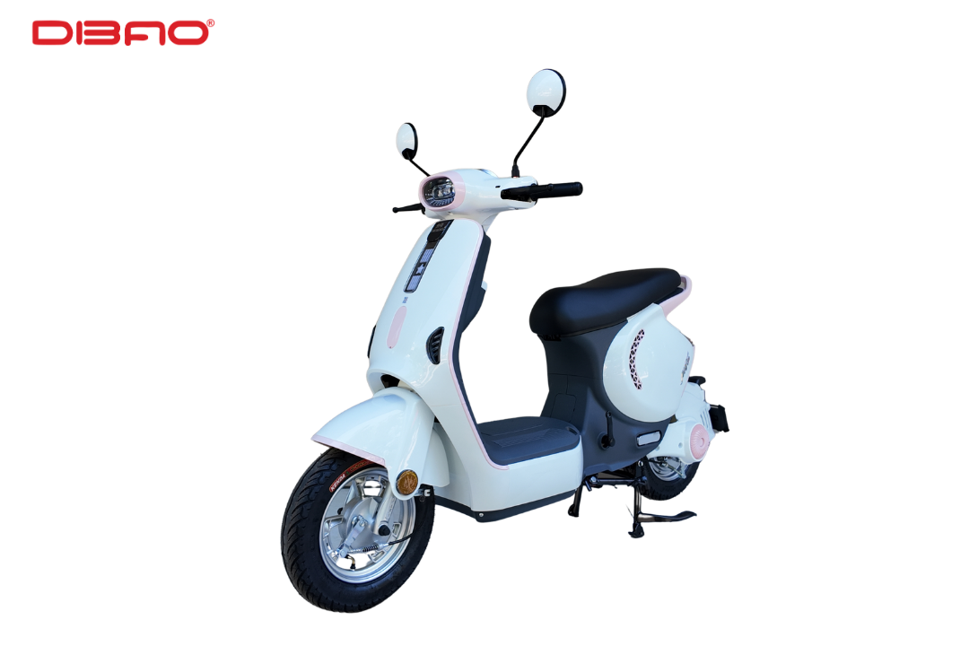 XE MÁY ĐIỆN CÓ BÀN ĐẠP DIBAO M1P 240