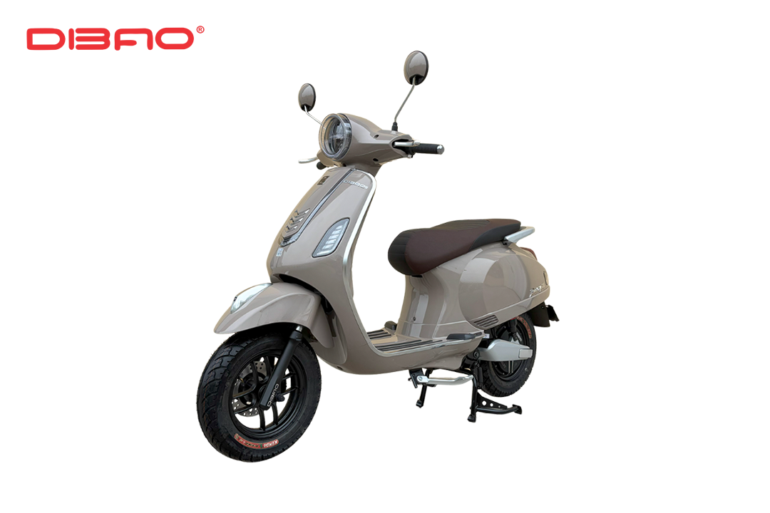 XE MÁY ĐIỆN DIBAO PANSY S3