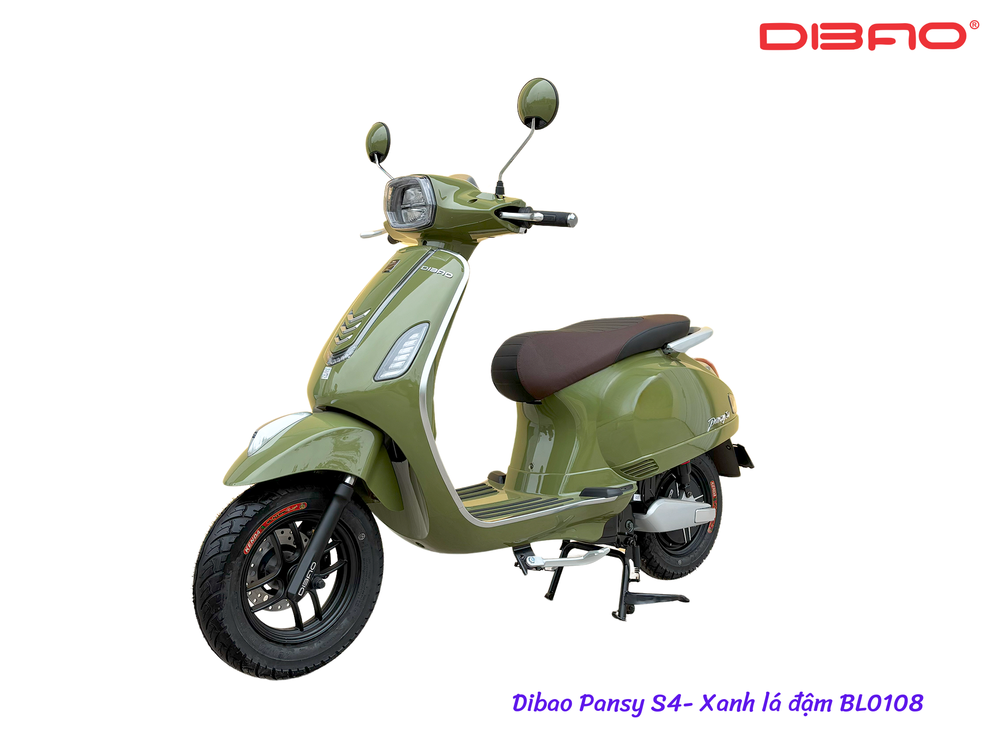 XE MÁY ĐIỆN DIBAO PANSY S4-(SV)