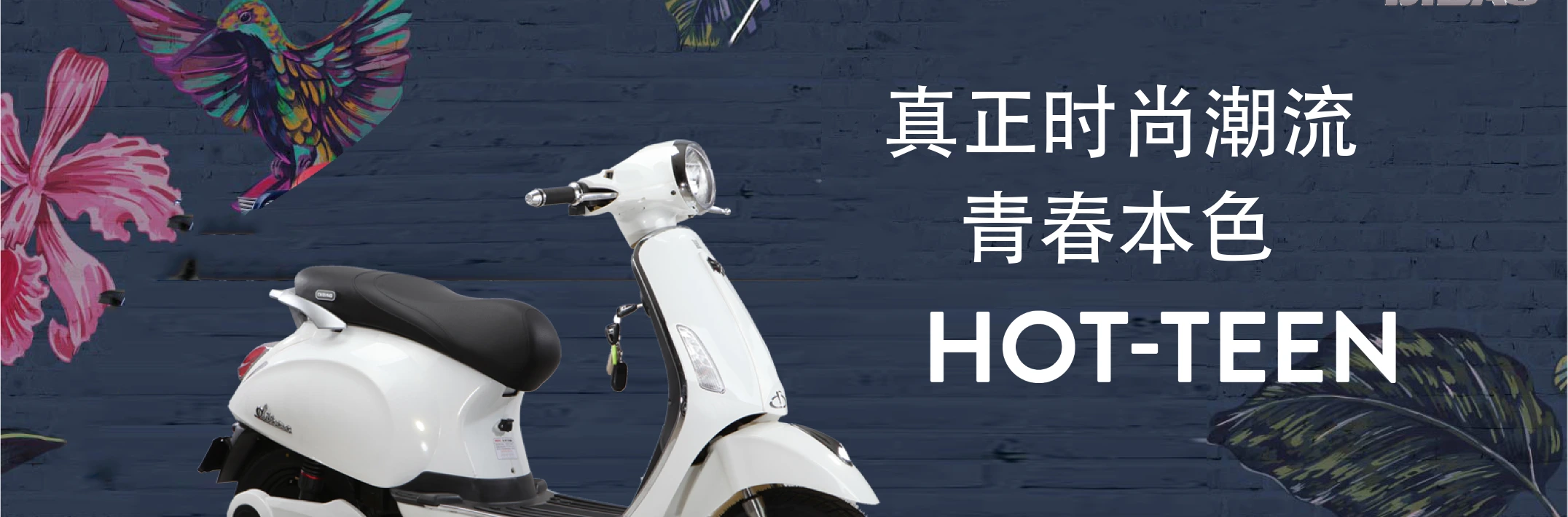 DIBAO 电动车最新资讯