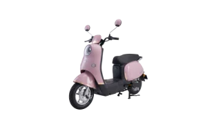 XE MÁY ĐIỆN DIBAO ROSA