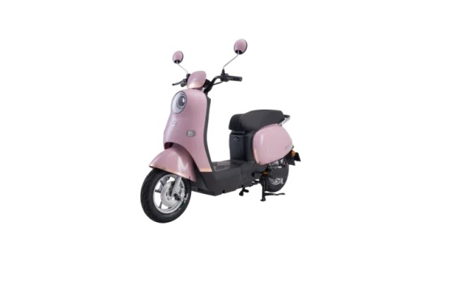 XE MÁY ĐIỆN DIBAO ROSA