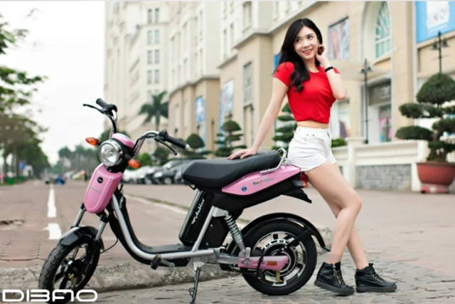 Điểm mặt gọi tên những mẫu xe đạp điện đời mới