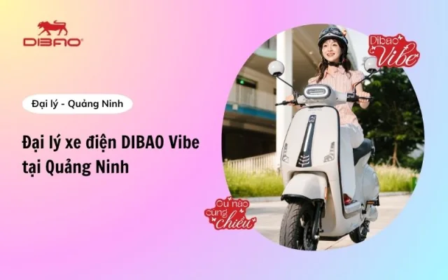 đại lý xe điện Dibao Vibe Quảng Ninh
