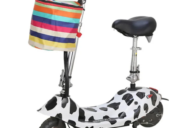 Có nên mua xe máy điện mini E Scooter hay không?