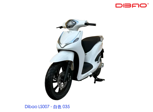 DIBAO LS007电动摩托车