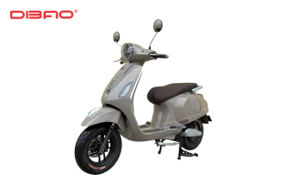 XE MÁY ĐIỆN DIBAO PANSY S3