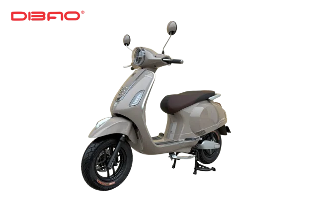 XE MÁY ĐIỆN DIBAO PANSY S3