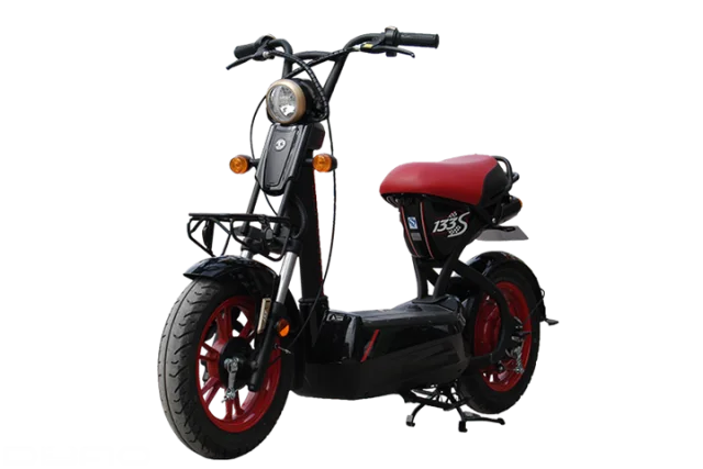 Xe đạp điện bò điên - mẫu xe “chất