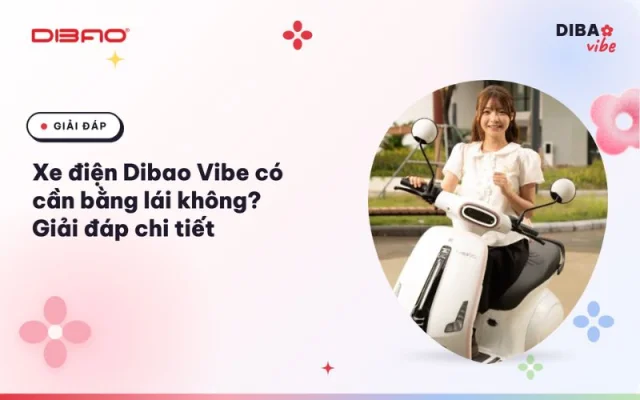 Dibao Vibe có cần bằng lái không
