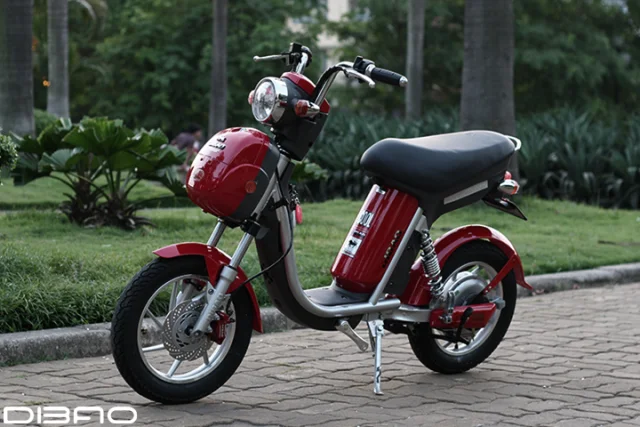 Bạn có biết xe đạp điện loại nào bền nhất và được ưa chuộng nhất trên thị trường?