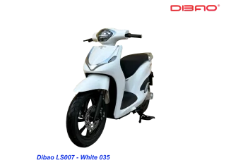 DIBAO LS007 ELECTRIC SCOOTER