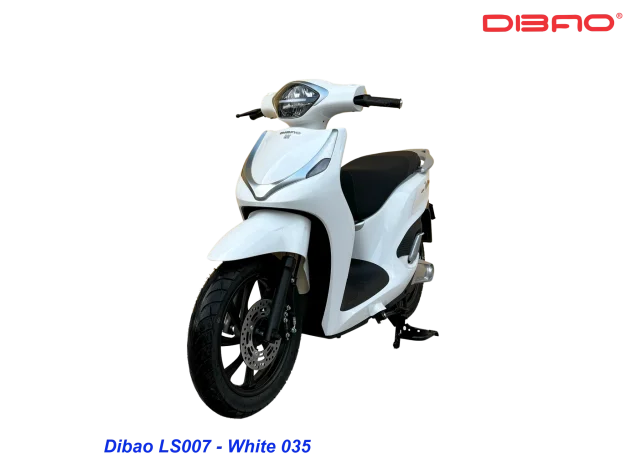 DIBAO LS007 ELECTRIC SCOOTER