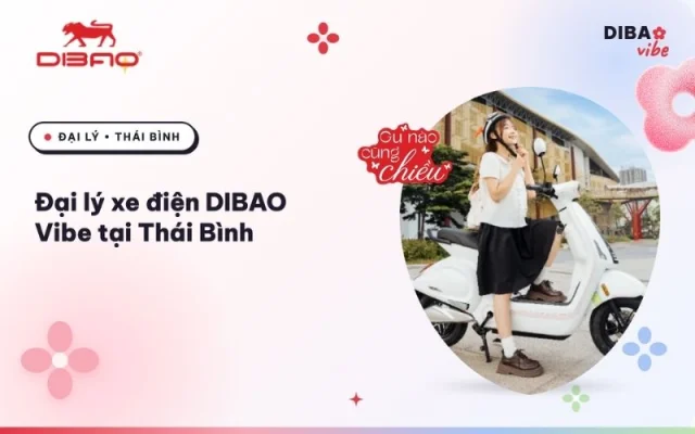 Đại lý xe điện Dibao Vibe Thái Bình