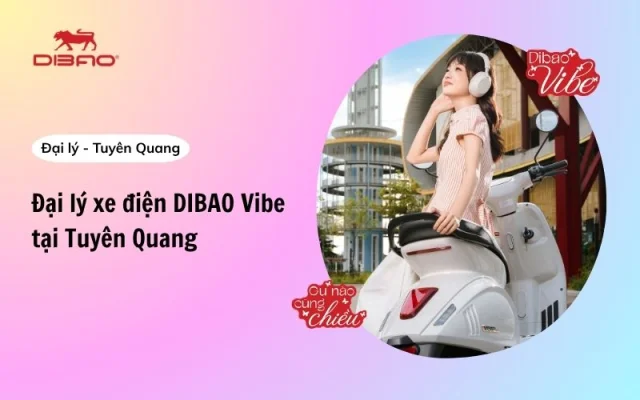 Đại lý xe điện Dibao Vibe Tuyên Quang