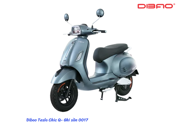 XE MÁY ĐIỆN DIBAO TESLA CHIC Q