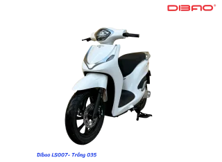 XE MÁY ĐIỆN DIBAO LS007