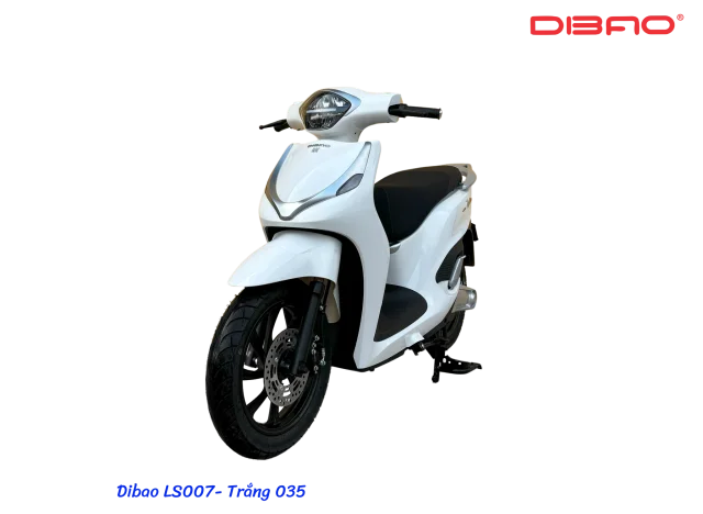 XE MÁY ĐIỆN DIBAO LS007