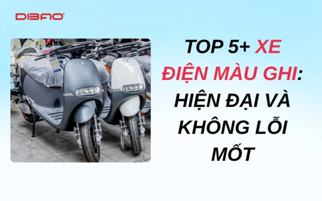 Top 5+ xe điện màu ghi: Hiện đại và không lỗi mốt