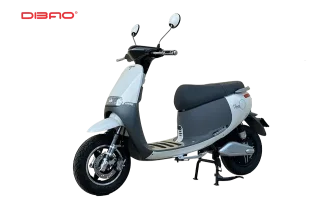 XE ĐIỆN DIBAO GOGO S5