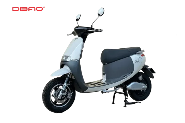 XE ĐIỆN DIBAO GOGO S5