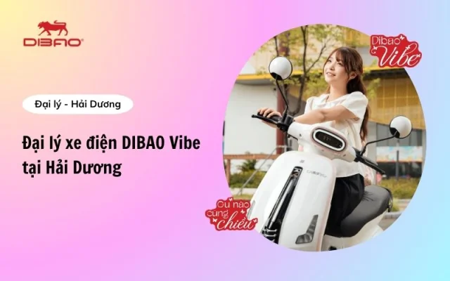 Danh sách đại lý xe điện Dibao Vibe Hải Dương giá tốt