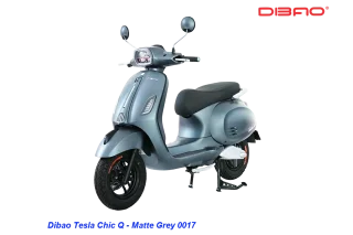 DIBAO TESLA CHIC Q ELECTRIC SCOOTER