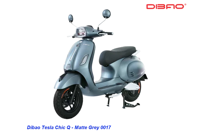 DIBAO TESLA CHIC Q ELECTRIC SCOOTER