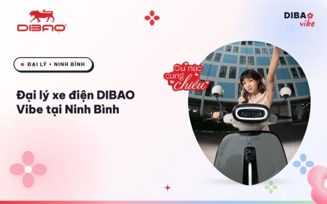 Đại lý xe điện Dibao Vibe Ninh Bình