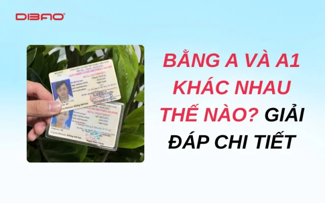 Bằng A và A1 khác nhau thế nào? Giải đáp chi tiết 2026