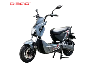 XE MÁY ĐIỆN DIBAO XMAN-LEO