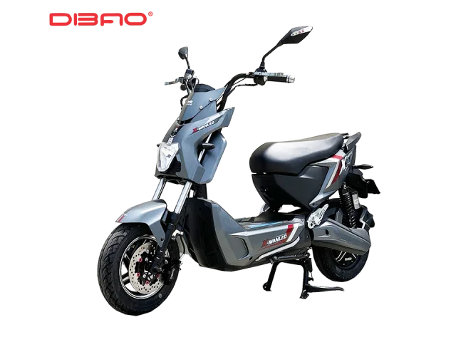 XE MÁY ĐIỆN DIBAO XMAN-LEO