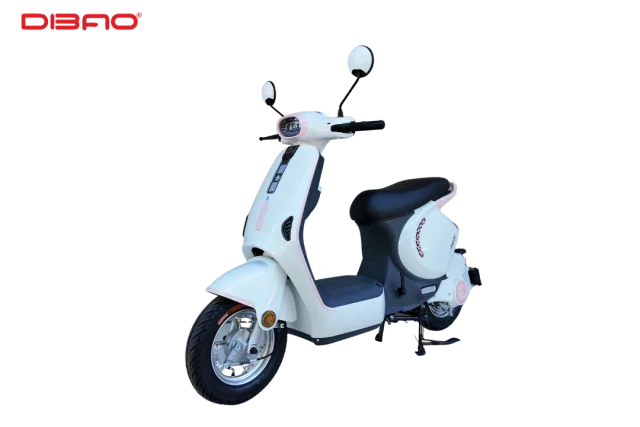 XE MÁY ĐIỆN CÓ BÀN ĐẠP DIBAO M1P 240